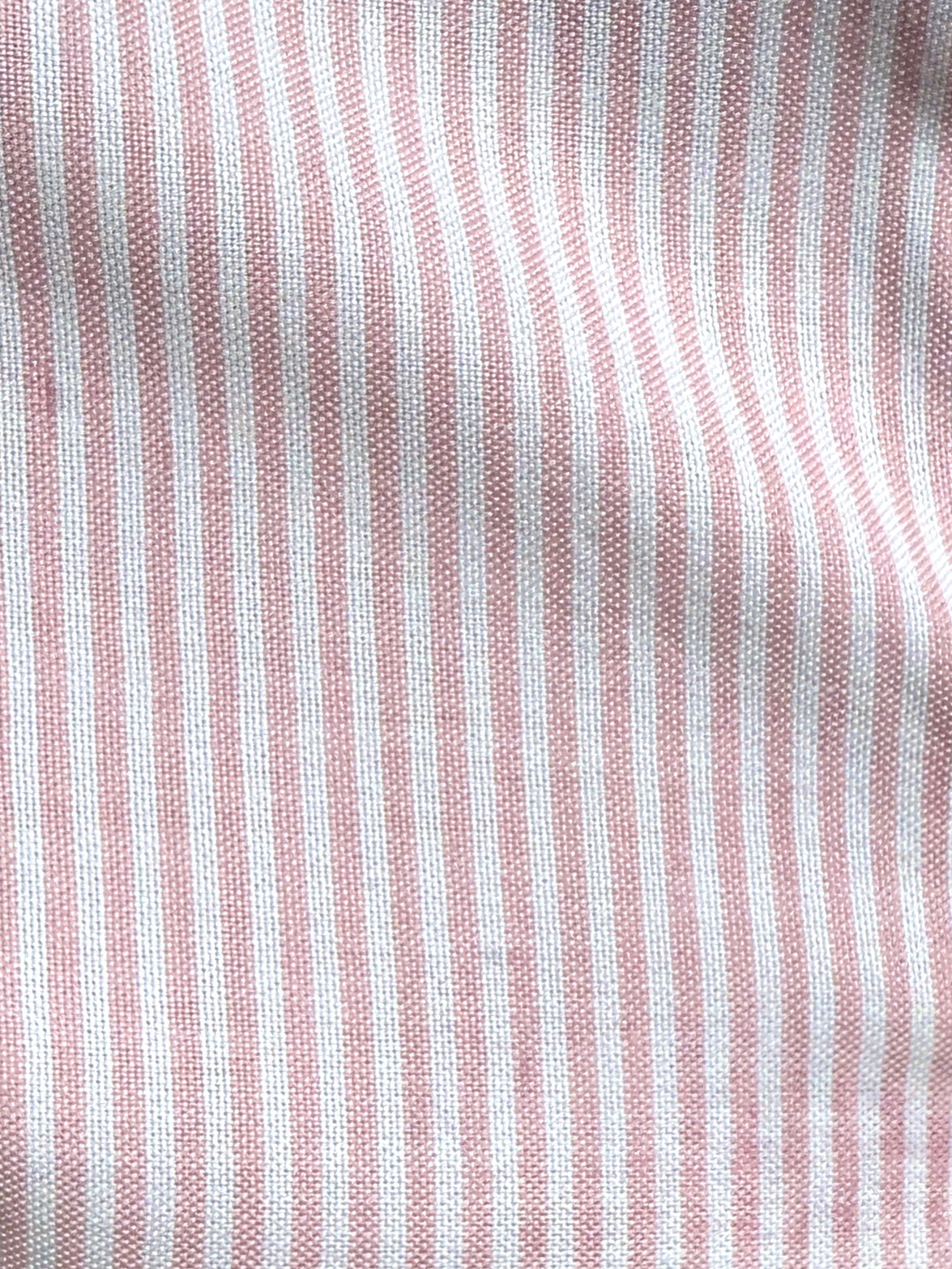 The Striped OCBD - Pink Pinstripe