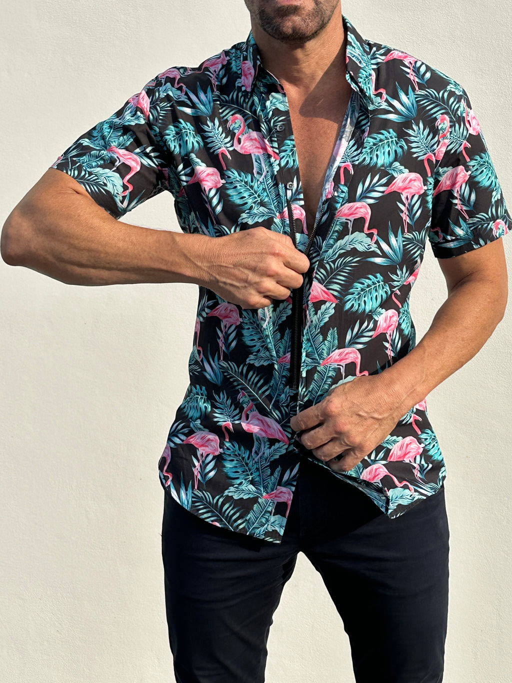 Flamingos on Cotton - Flamingos